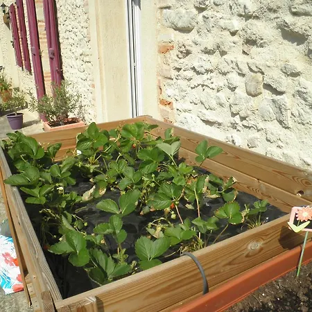 Hotel Domaine De La Vigne Cadalen