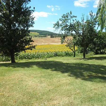 Domaine De La Vigne 3* Cadalen