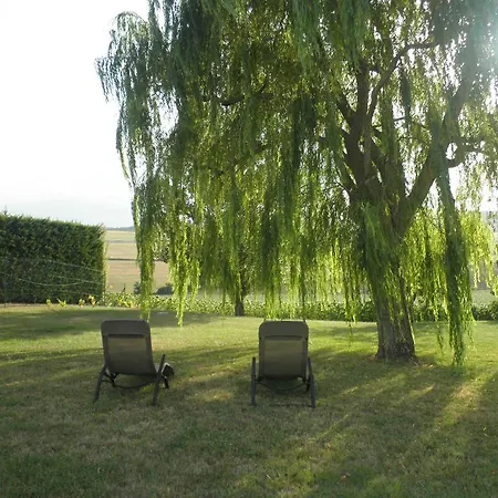 Hotel Domaine De La Vigne Cadalen