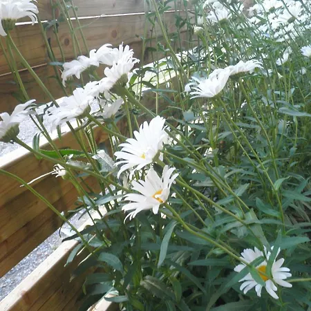 Szálloda Domaine De La Vigne