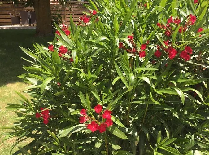 Hotel Domaine De La Vigne