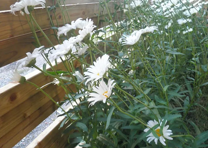 Hotel Domaine De La Vigne